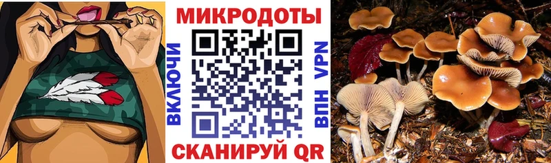цена наркотик  блэк спрут маркетплейс  Галлюциногенные грибы мухоморы  Казань 